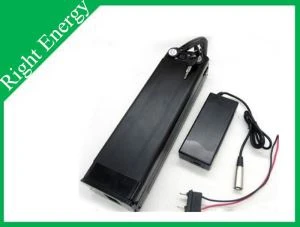 48 V Lithium-Ionen-Akku